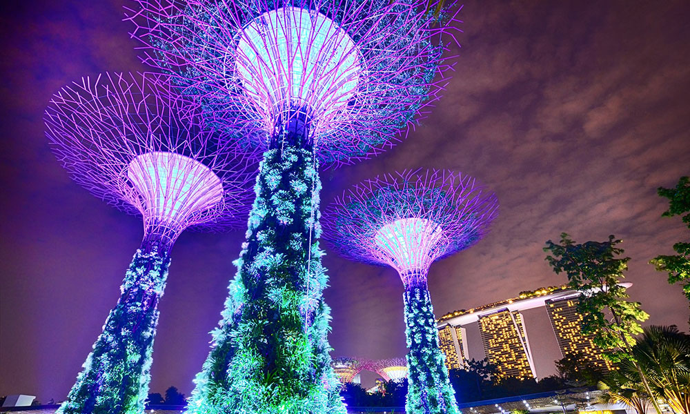Exploring the Magic of Singapore: Incredible Experiences