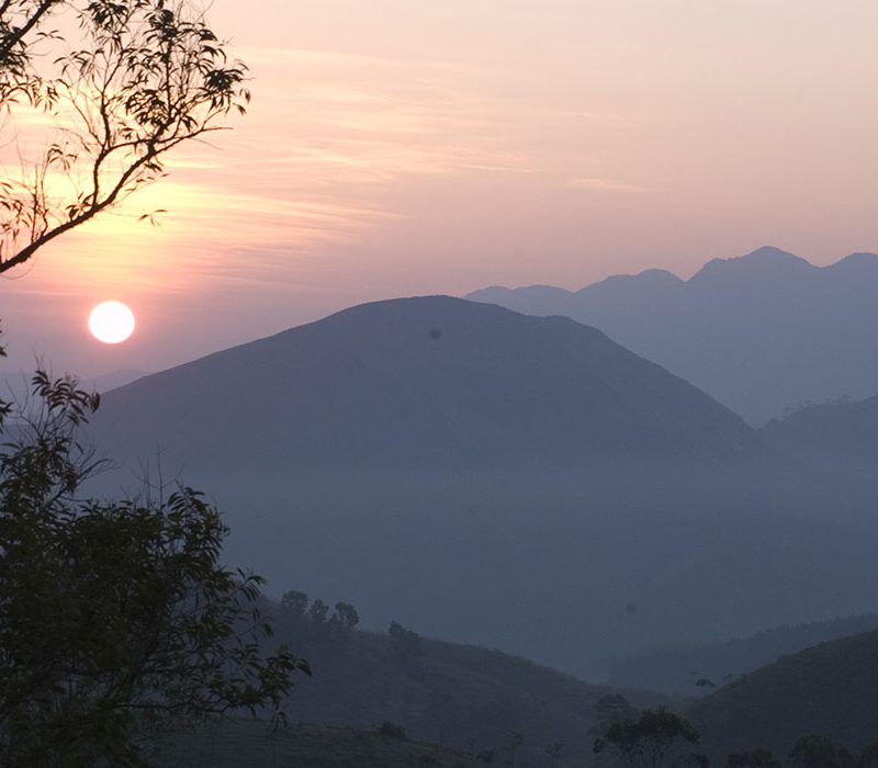 wagamon view