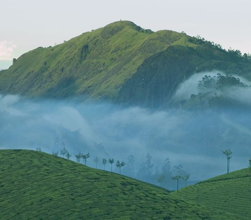 munnar-5