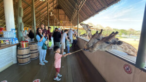 11Group tour-safari world